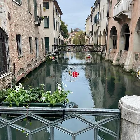 My Comfort Treviso
