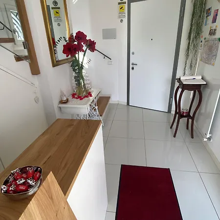 My Comfort Treviso