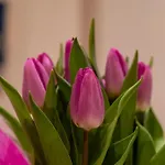 My Comfort Bed & Breakfast Treviso
