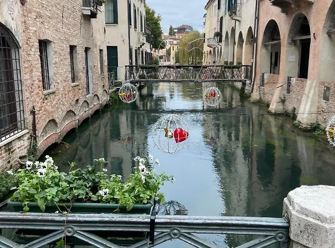 My Comfort Treviso